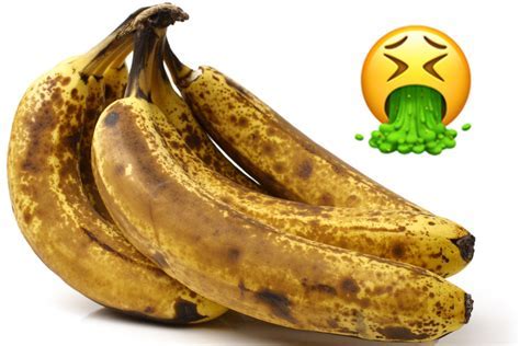 What Does Strophic Mean in Music? And Why Do Bananas Sing Opera?